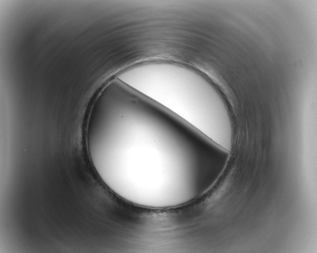 X0000088730834200705311114