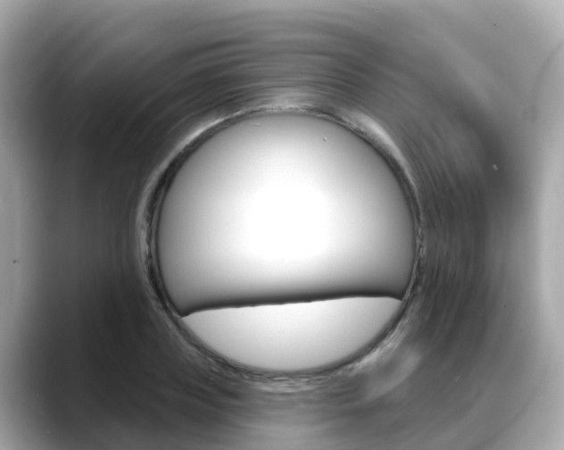 X0000088730835200705311114