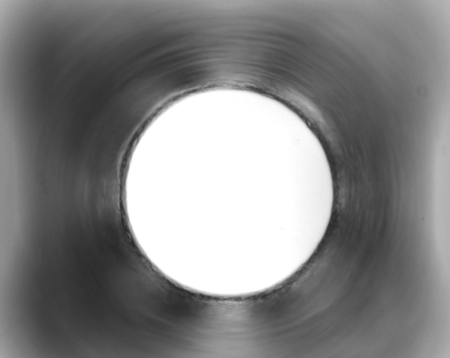 X0000088730836200705311114