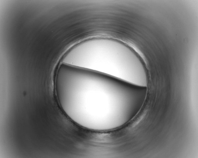 X0000088730837200705311114