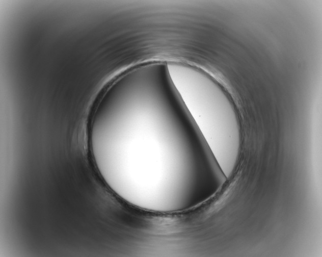 X0000088730838200705311114