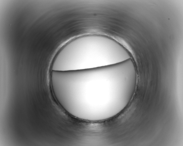 X0000088730839200705311114
