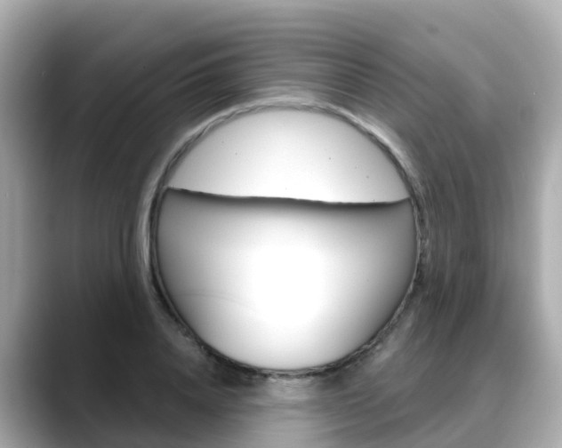 X0000088730840200705311114