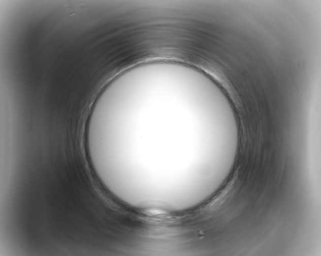 X0000088730842200705311114