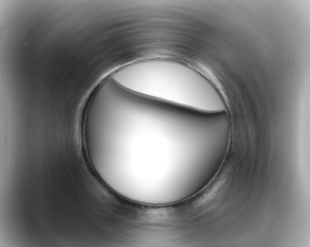 X0000088730843200705311114