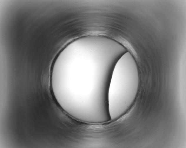 X0000088730844200705311114