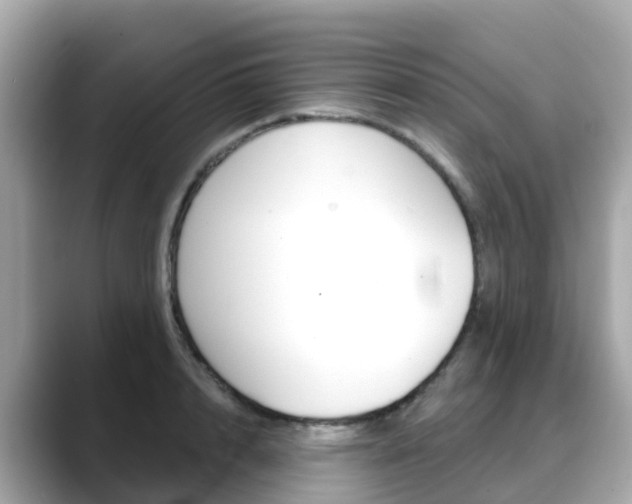 X0000088730848200705311114