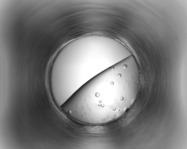 X0000088730851200705311114