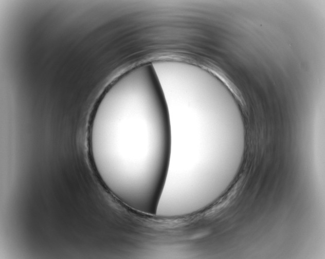 X0000088730853200705311114