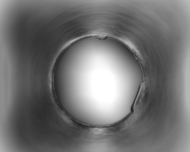 X0000088730854200705311114