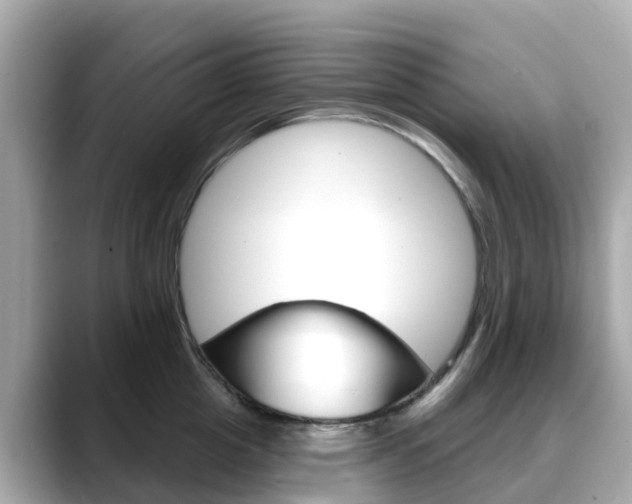 X0000088730857200705311114