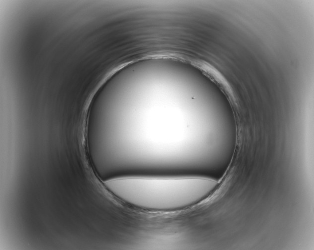 X0000088730860200705311114