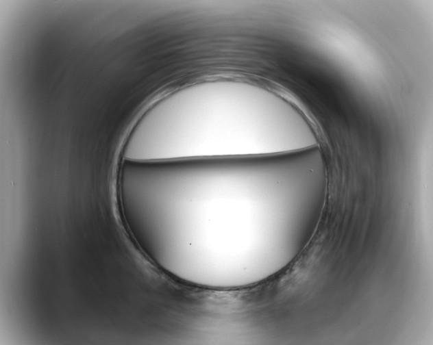 X0000088730861200705311114