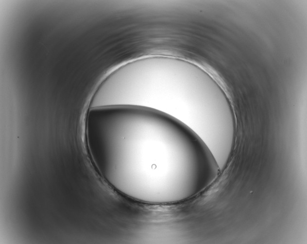 X0000088730862200705311114