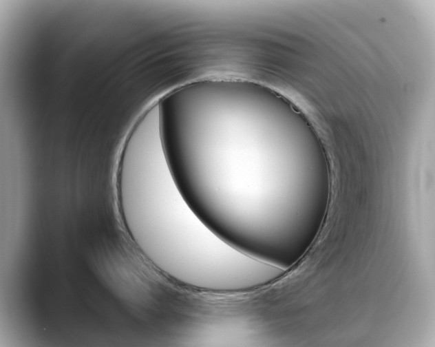 X0000088730864200705311114