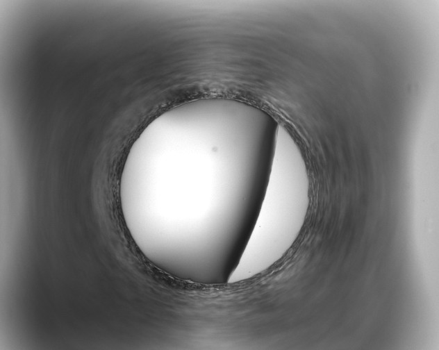 X0000088730865200705311113