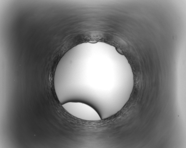 X0000088730866200705311113