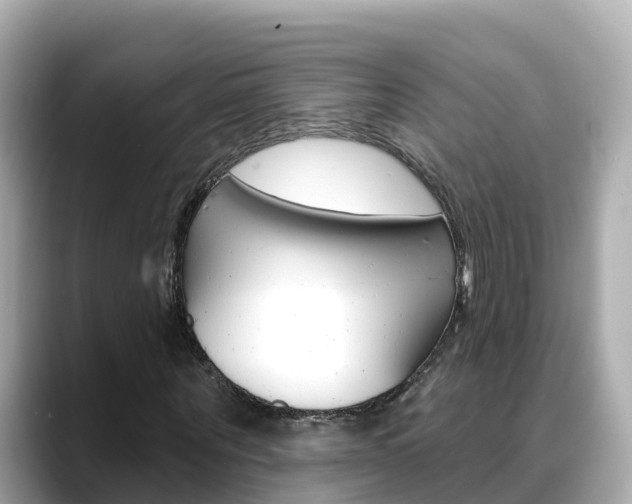 X0000088730867200705311113