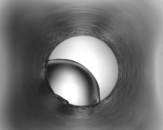X0000088730868200705311113