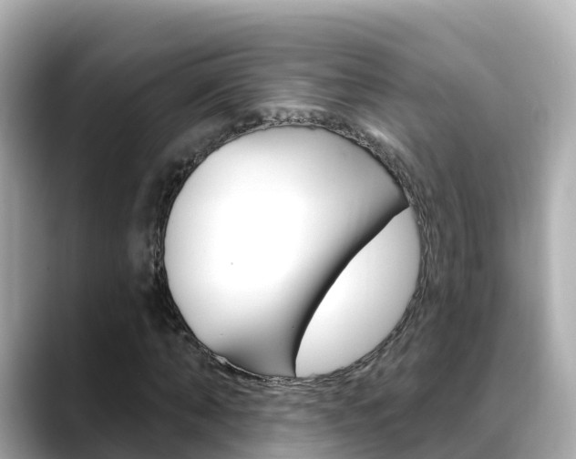 X0000088730870200705311113