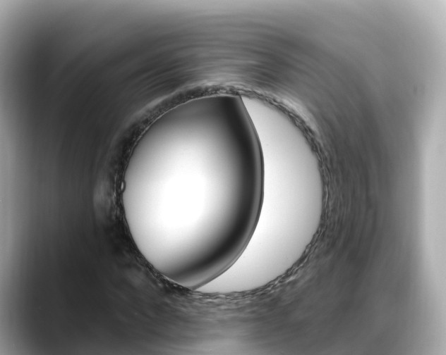 X0000088730872200705311113