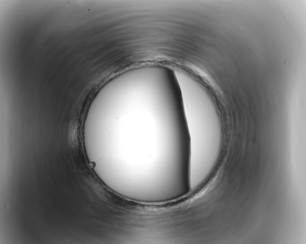 X0000088730873200705311113