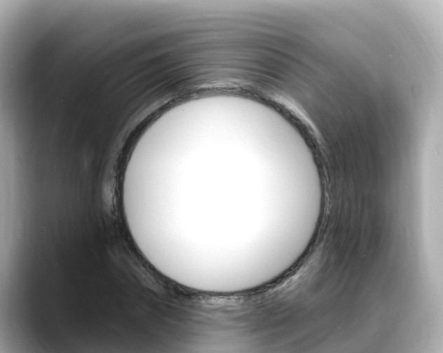 X0000088730874200705311113