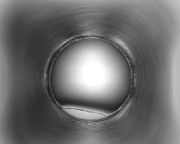 X0000088730876200705311113