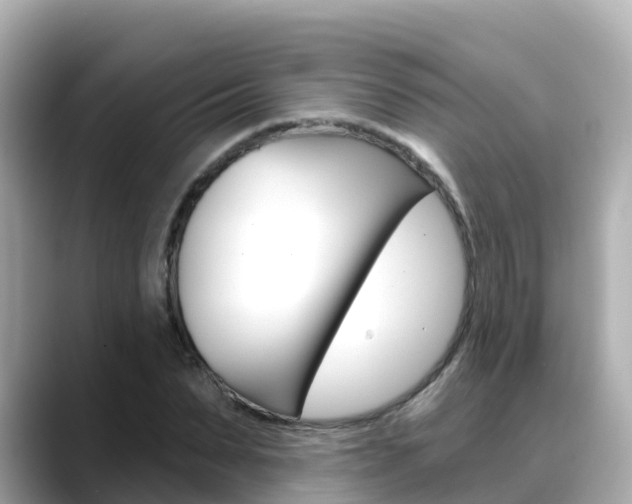X0000088730879200705311113