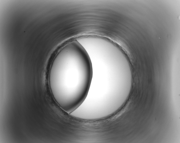 X0000088730880200705311113