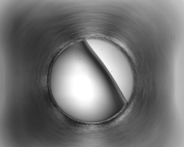 X0000088730881200705311113