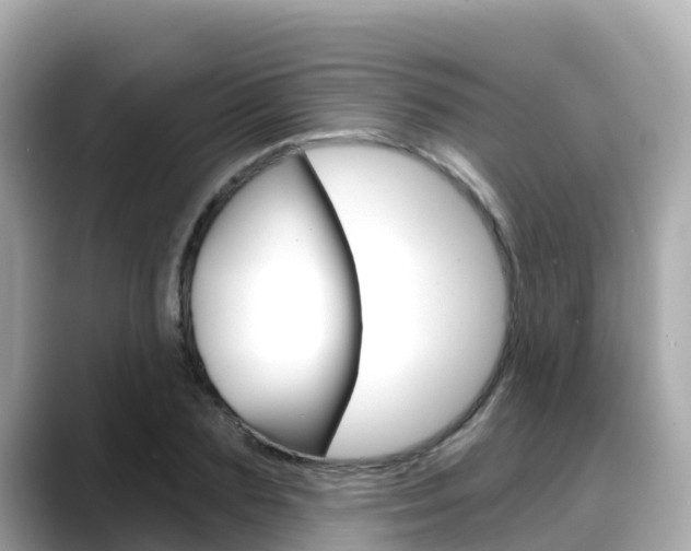 X0000088730883200705311113