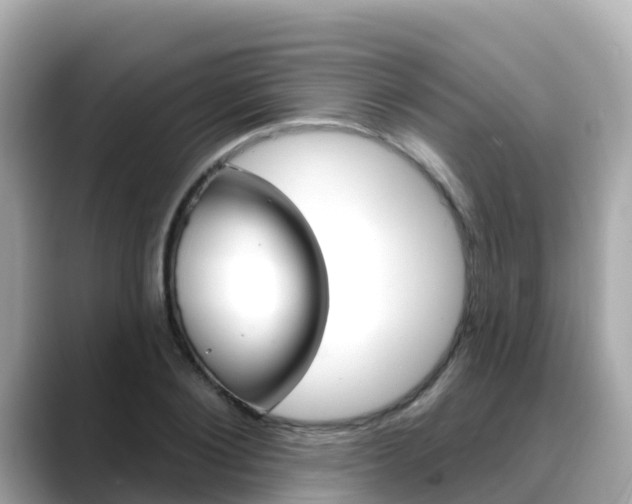 X0000088730884200705311113