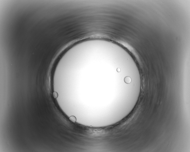 X0000088730886200705311113