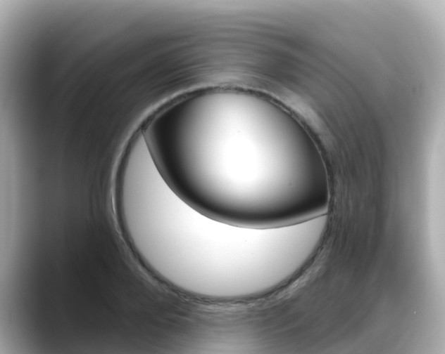 X0000088730888200705311113