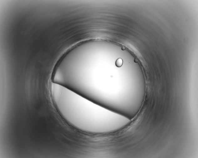 X0000088730891200705311113