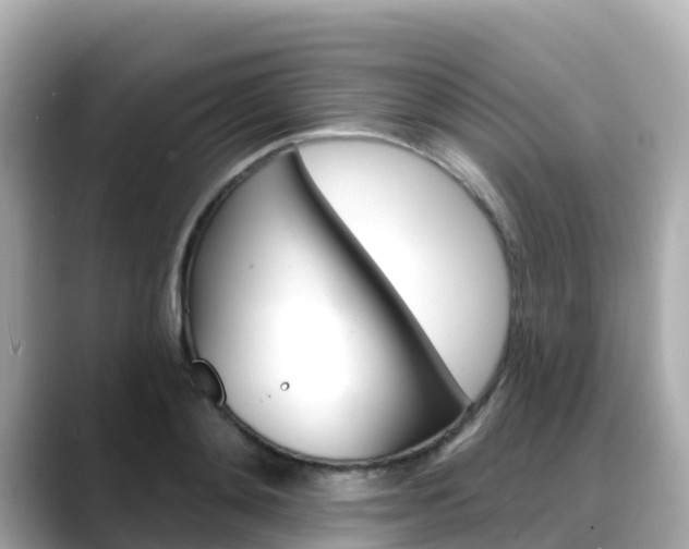 X0000088730892200705311113