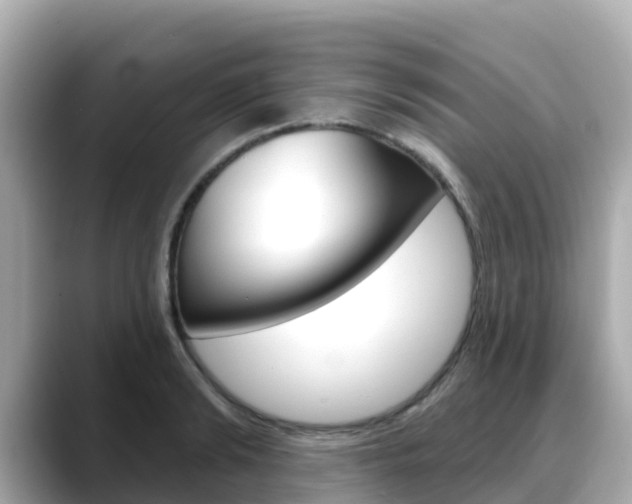 X0000088730894200705311113