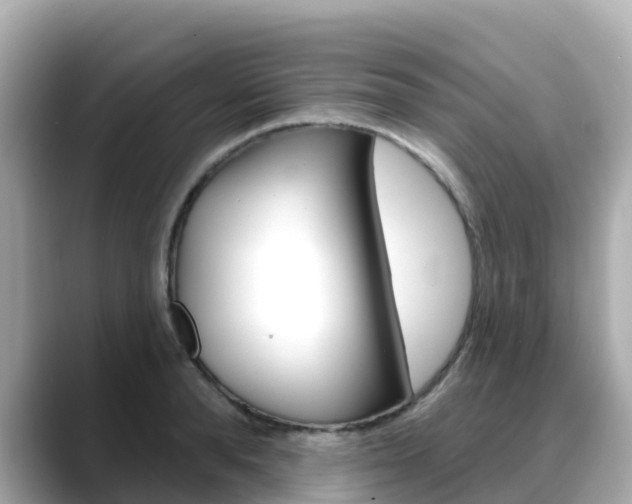 X0000088730896200705311113