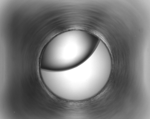 X0000088730898200705311113