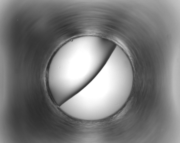 X0000088730899200705311113