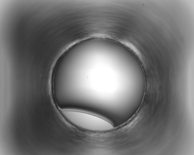 X0000088730902200705311113