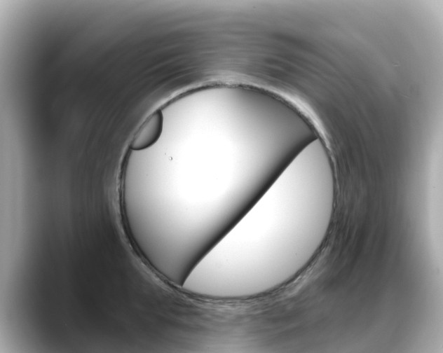 X0000088730903200705311113