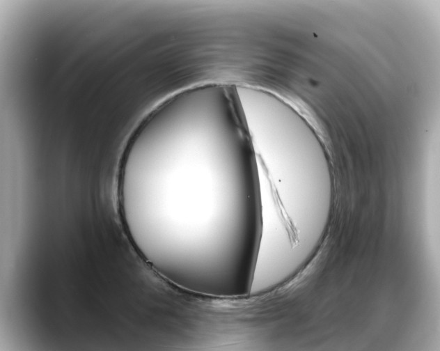 X0000088730904200705311113