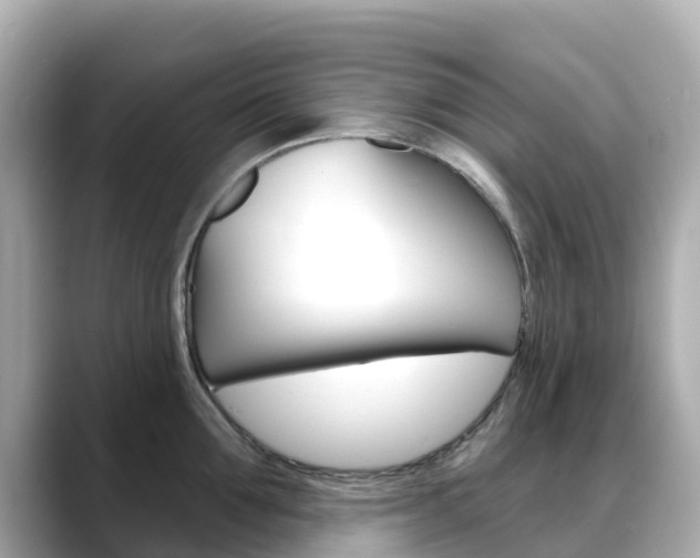 X0000088730907200705311113