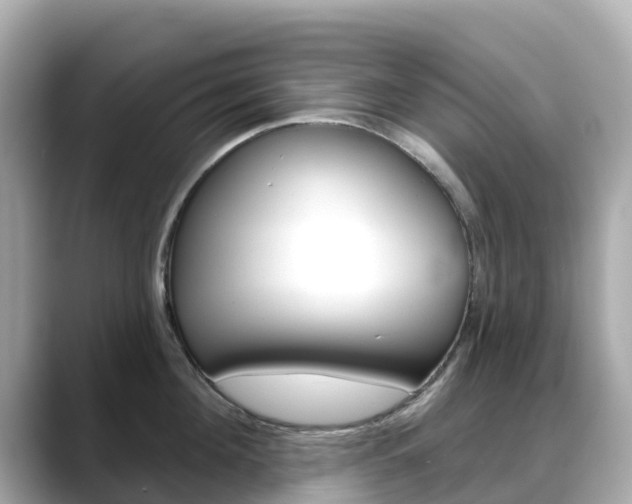 X0000088730908200705311113