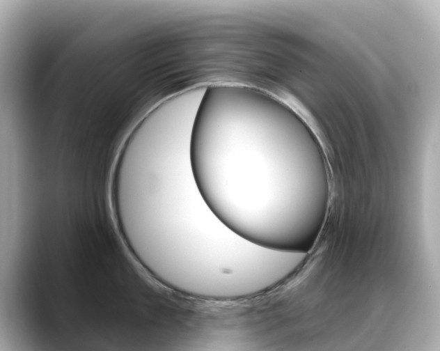 X0000088730909200705311113
