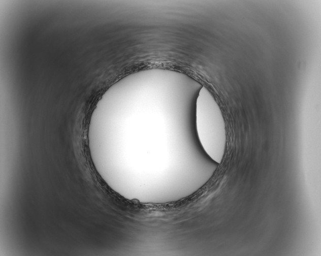 X0000088730913200705311112