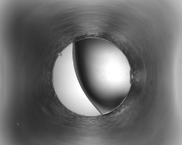 X0000088730916200705311112