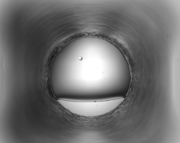 X0000088730920200705311112